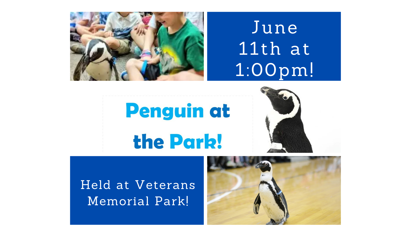 Penguins at the Park