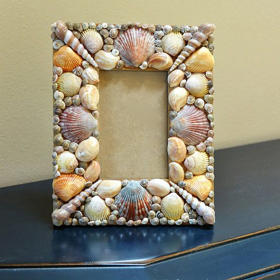 Seashell Frame